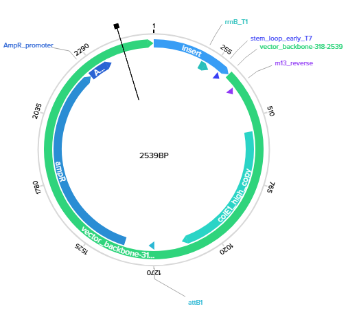 Twist Construct Visualization