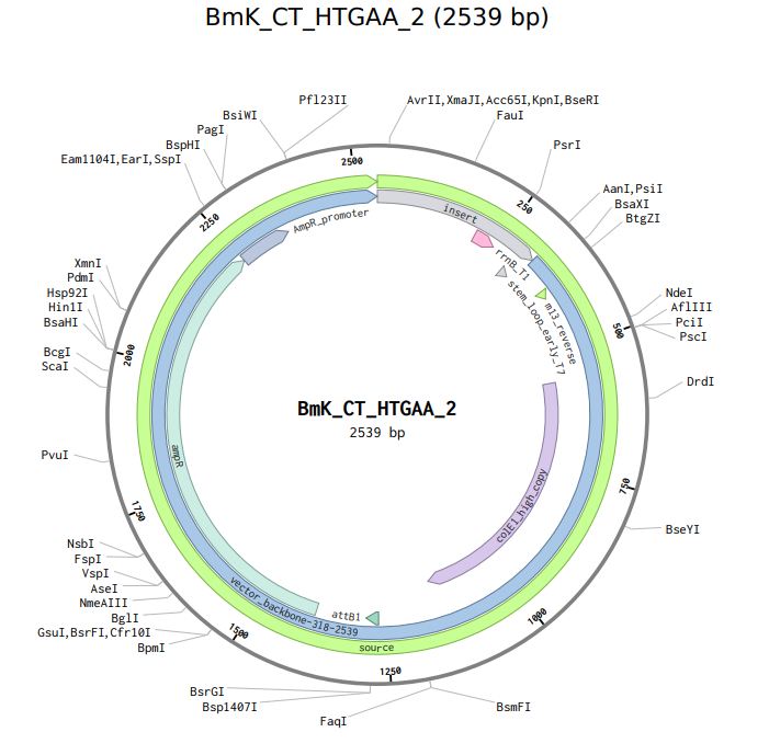 Final Recombinant Plasmid Map