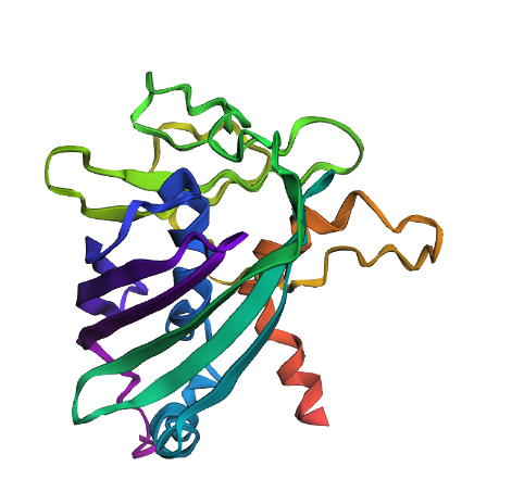 Mutation 1