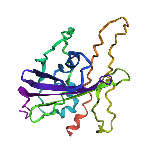 Mutation 2