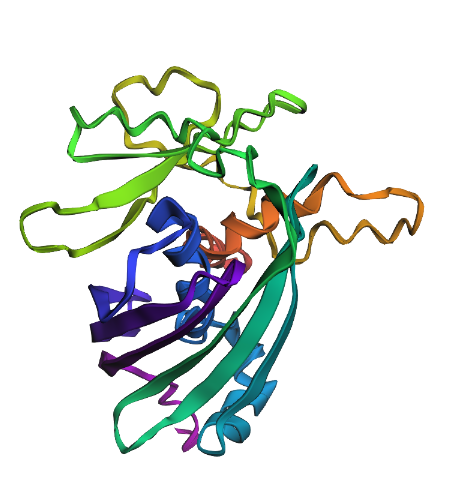 Normal Structure