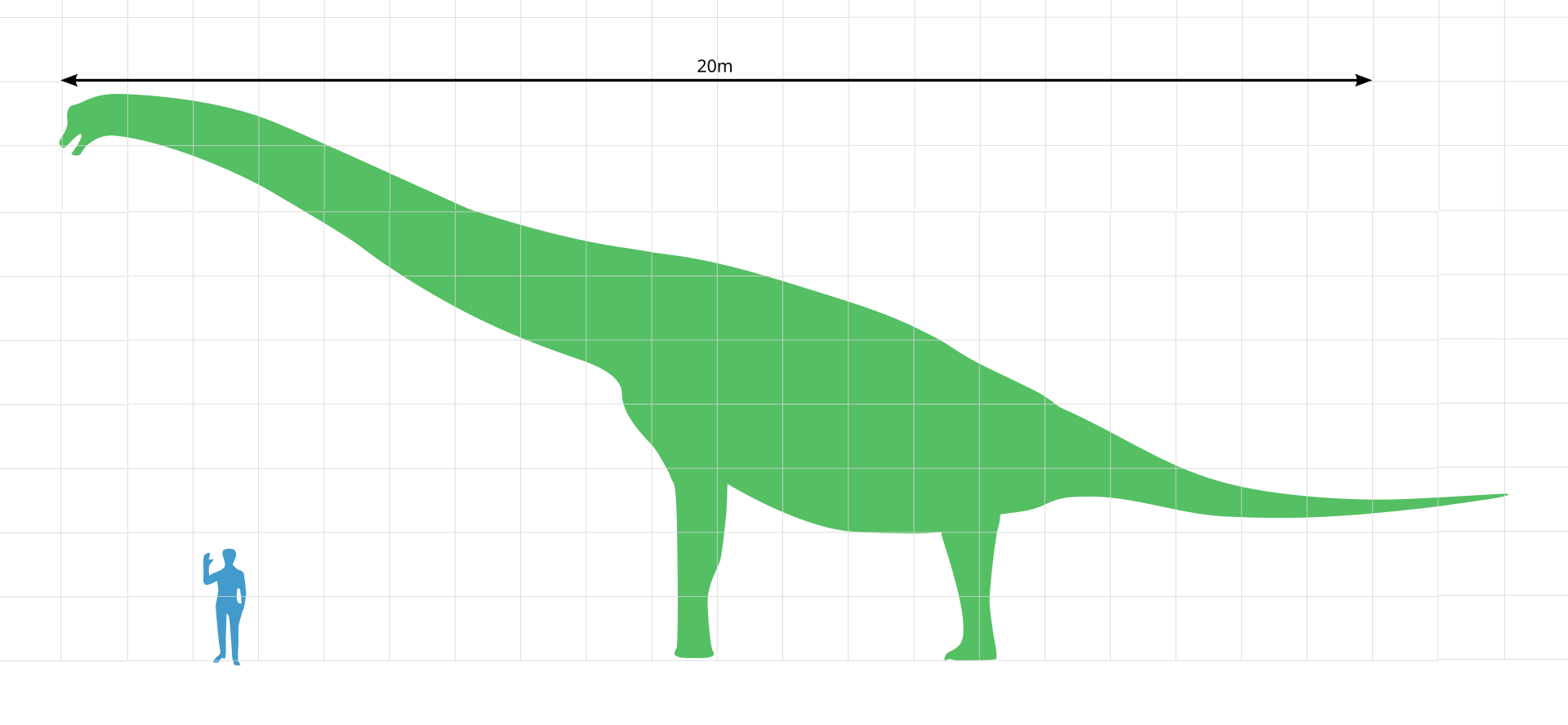 A green Brachiosaurus with a human to scale