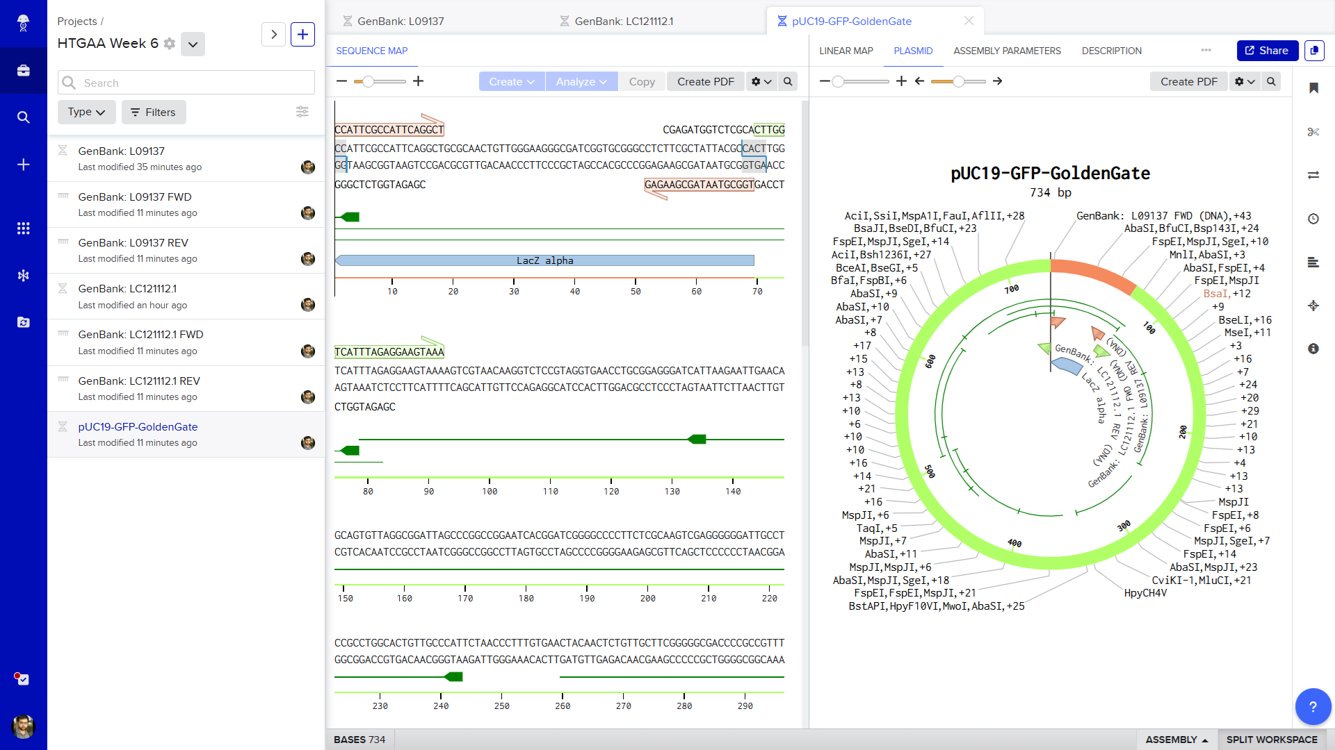 Benchling screenshot of the pUC19_GPF_GG assembly