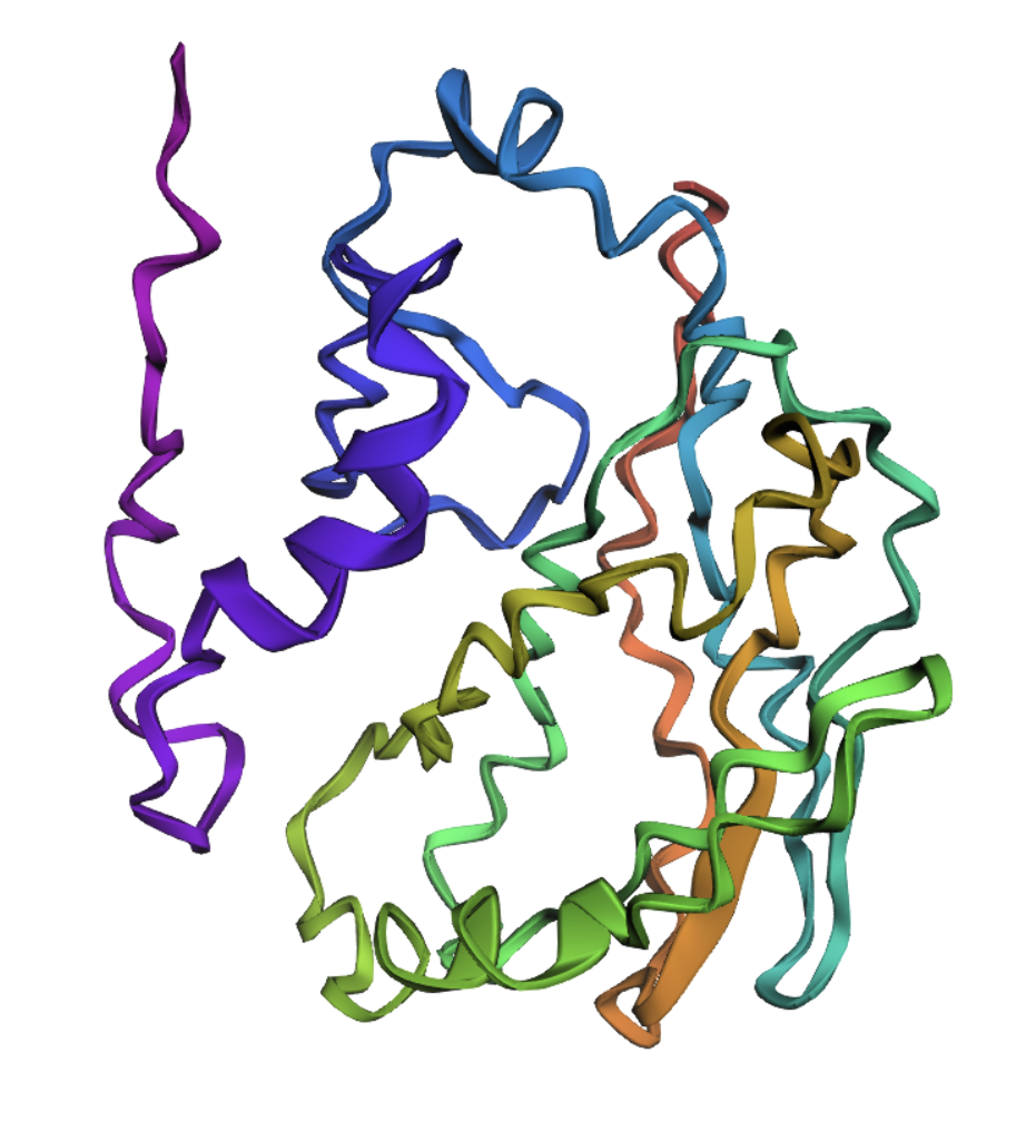 ESMFold prediction of Spike RBD