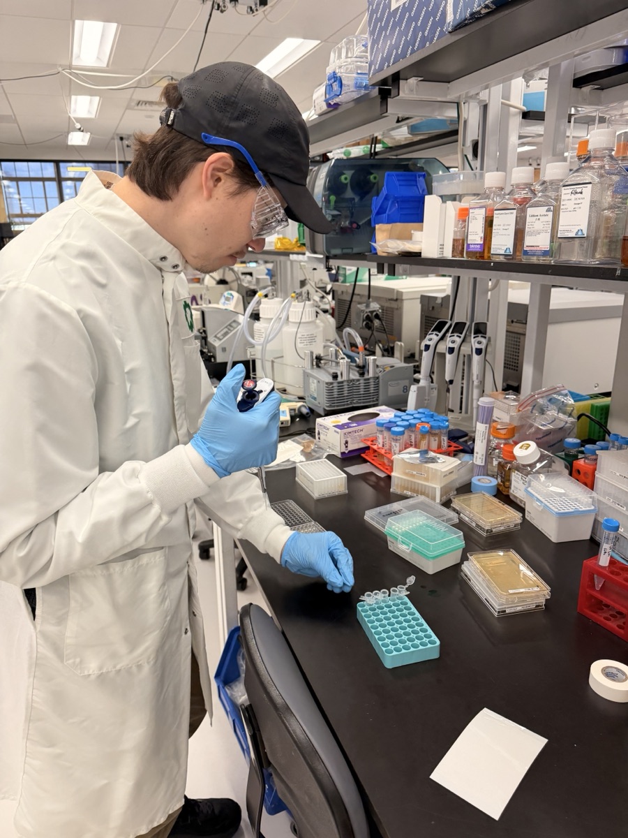 Transferring template and reagents into reaction strips