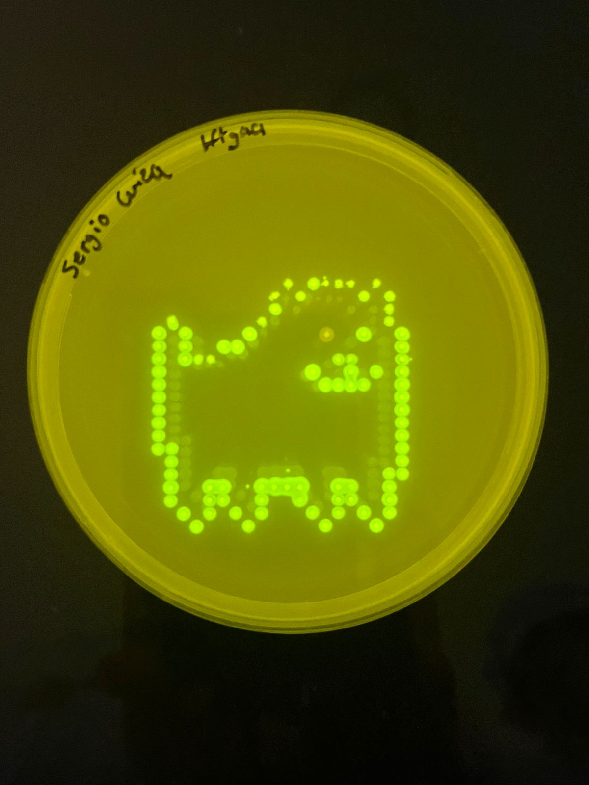 Simulated two‑color pixel art