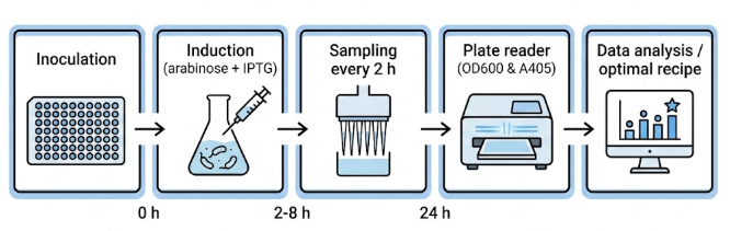 Automation workflow diagram