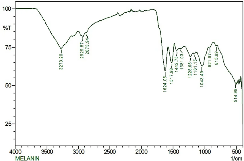 FTIR spectrum of melanin