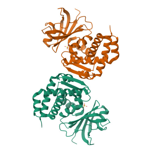 3D structure of PprI