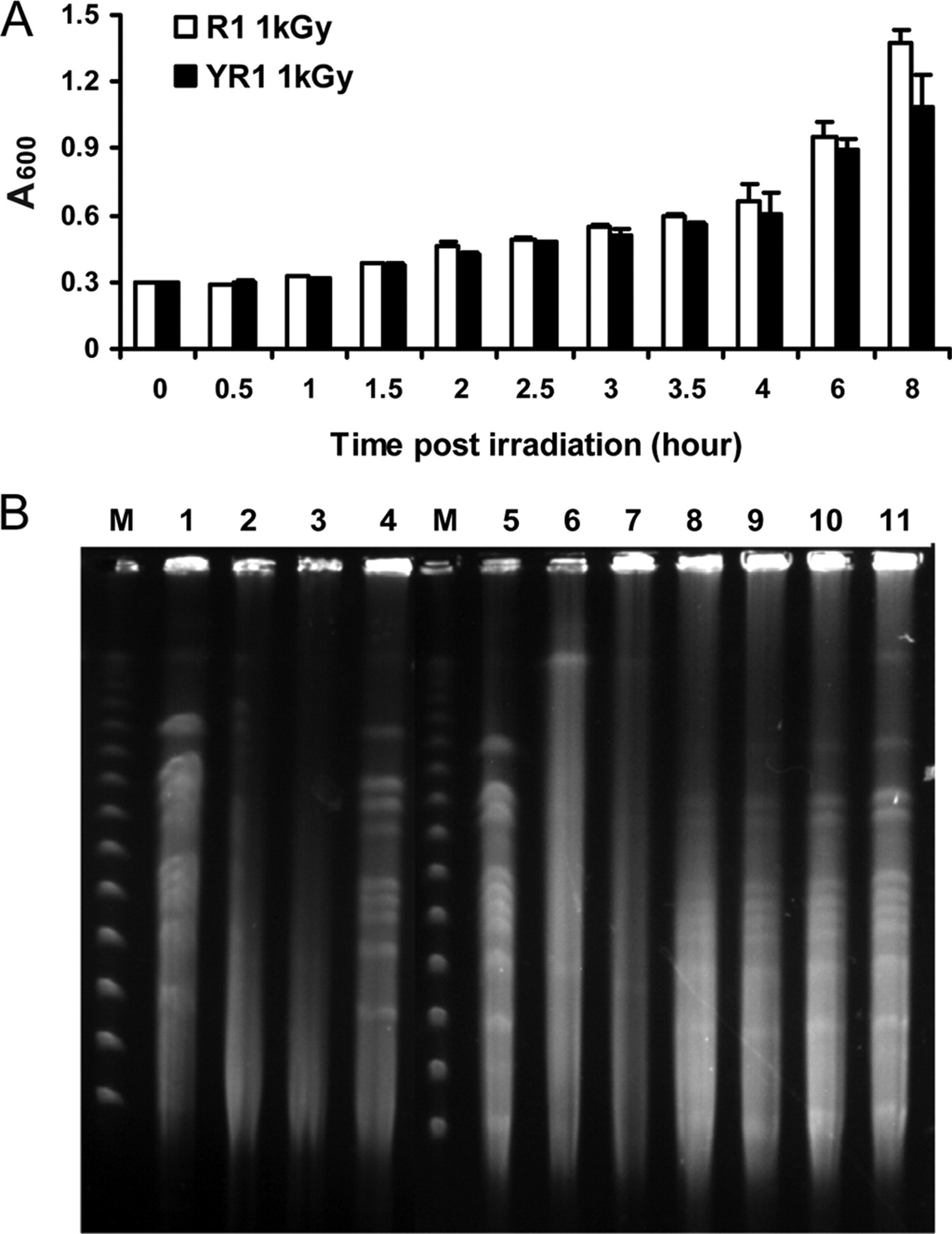 Survival curve with PprI