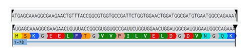 GFP Central Dogma
