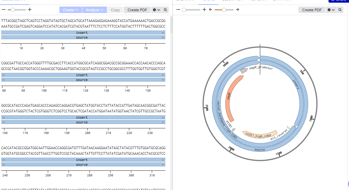 Lysostaphin in plasmid