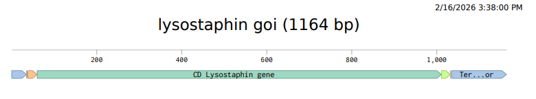 Dna insert full view