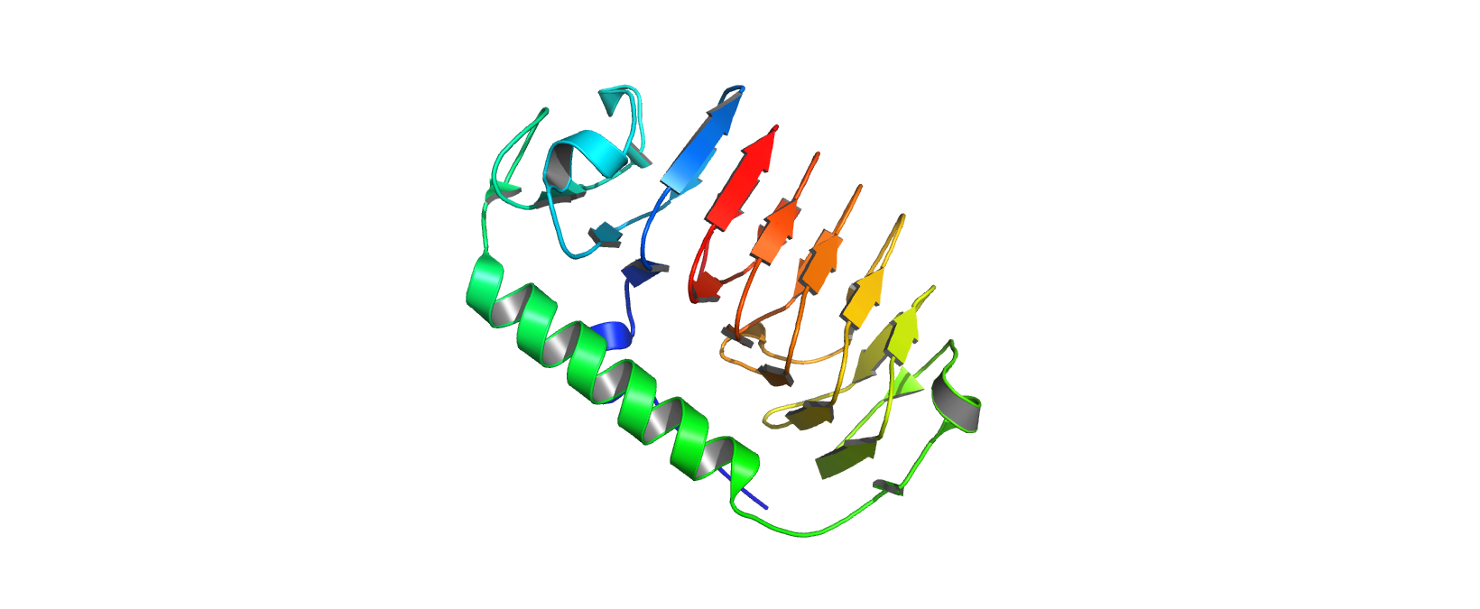 Cartoon View of IBP_FLAFP