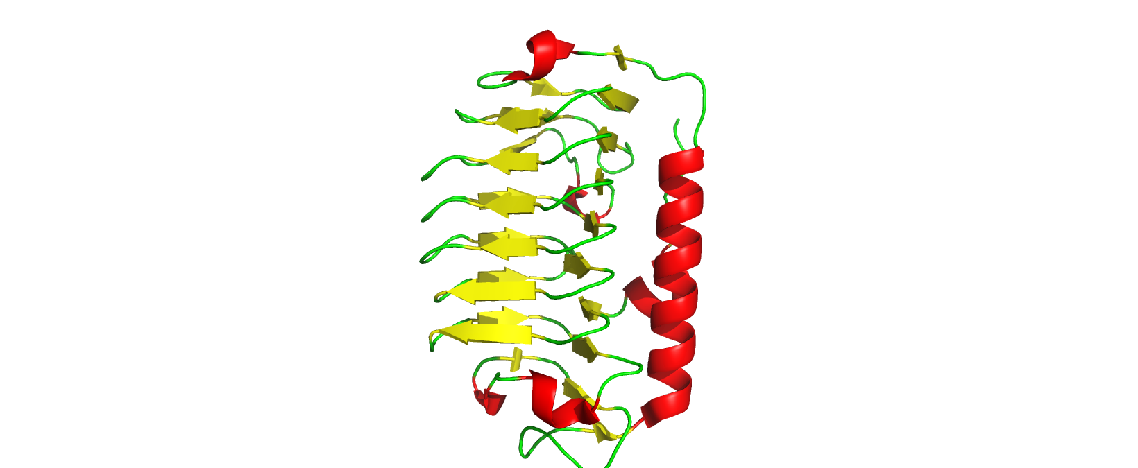 Secondary Structure-Labelled View of IBP_FLAFP