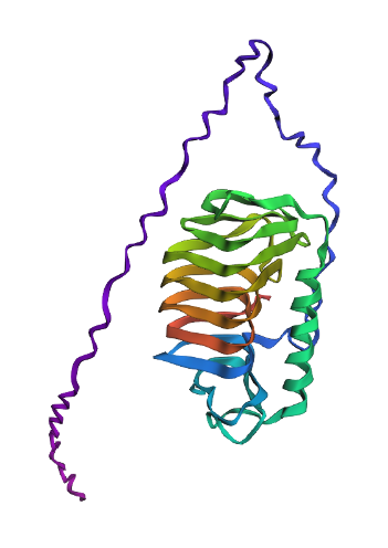 Protein Folding