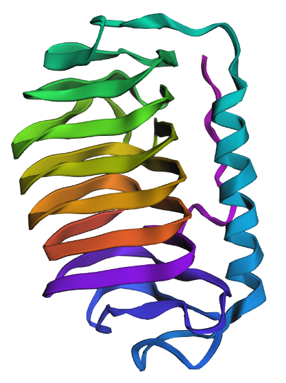 Modified Protein