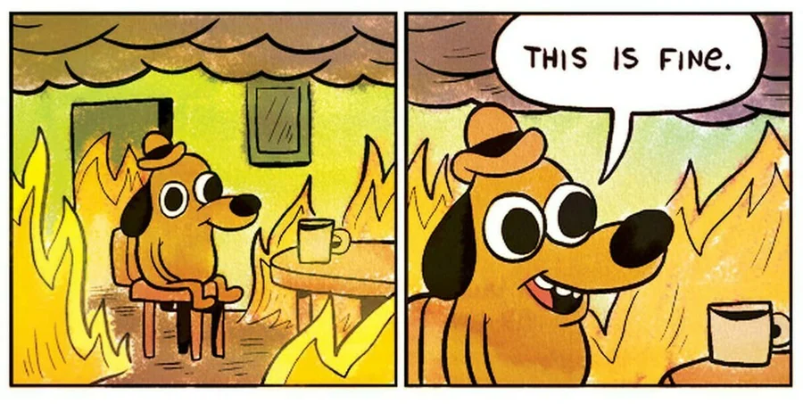 &ldquo;This is fine&rdquo; comic strip