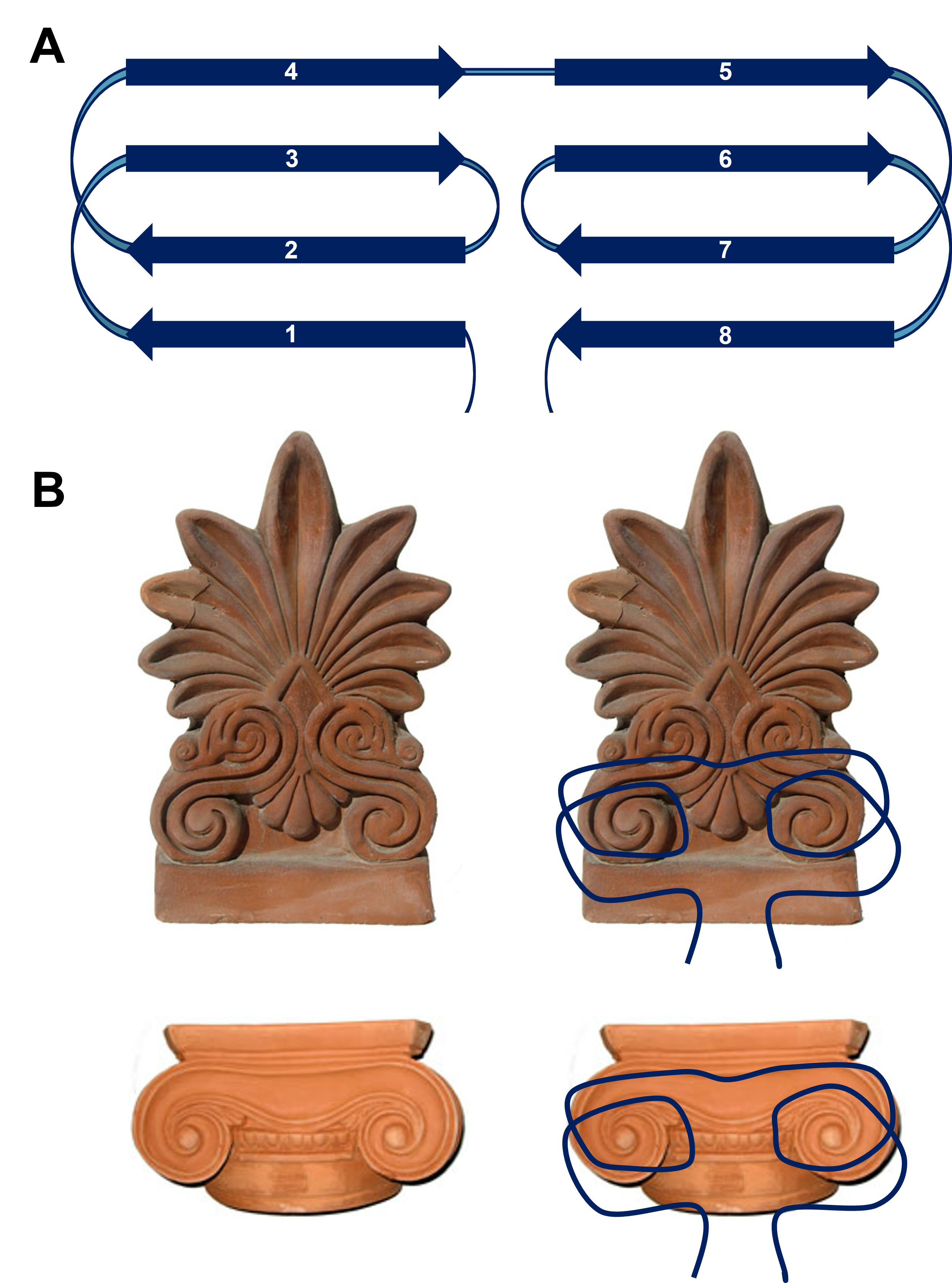 Antefix-inspired protein motif
