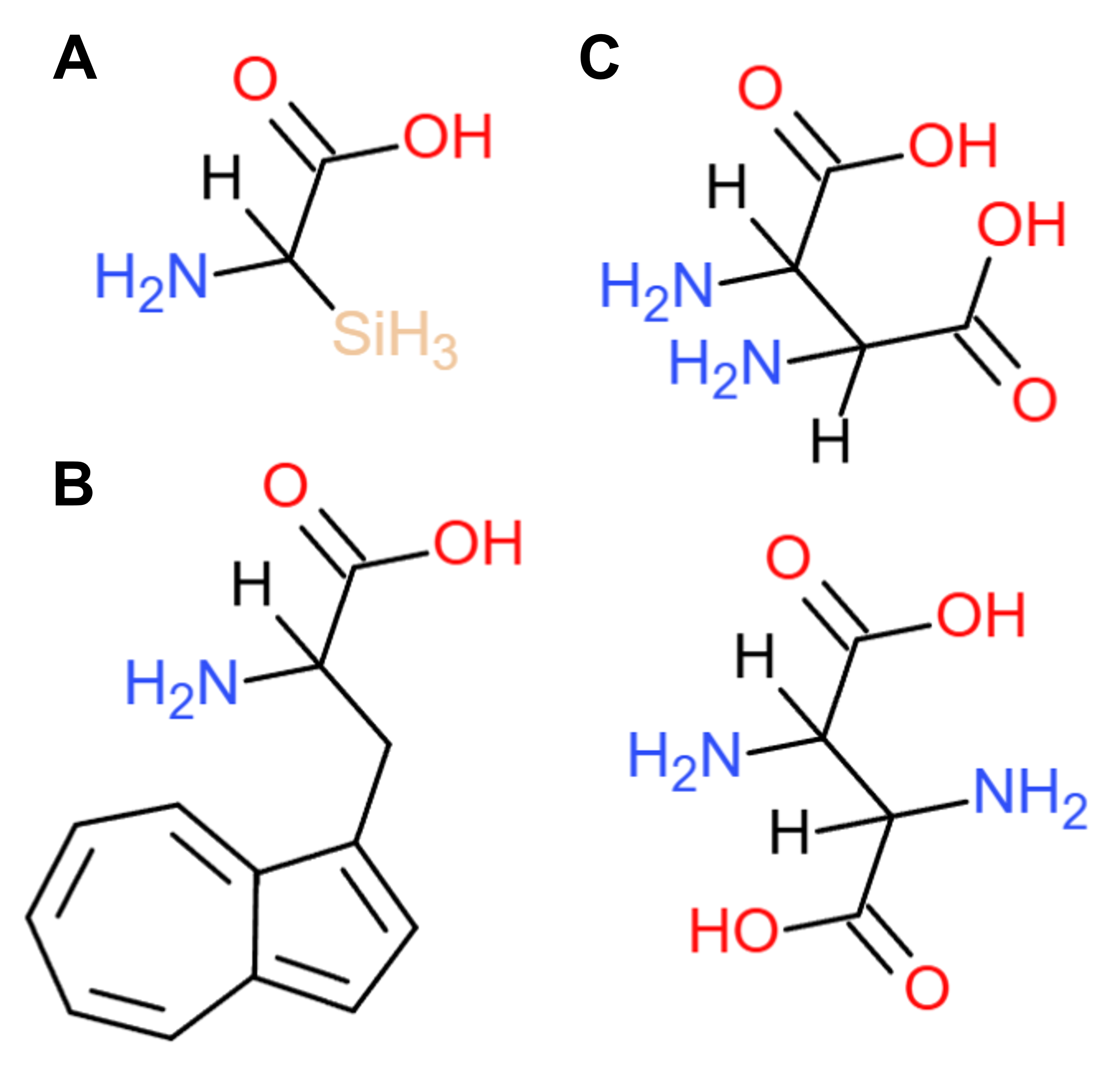 Imaginary amino acids