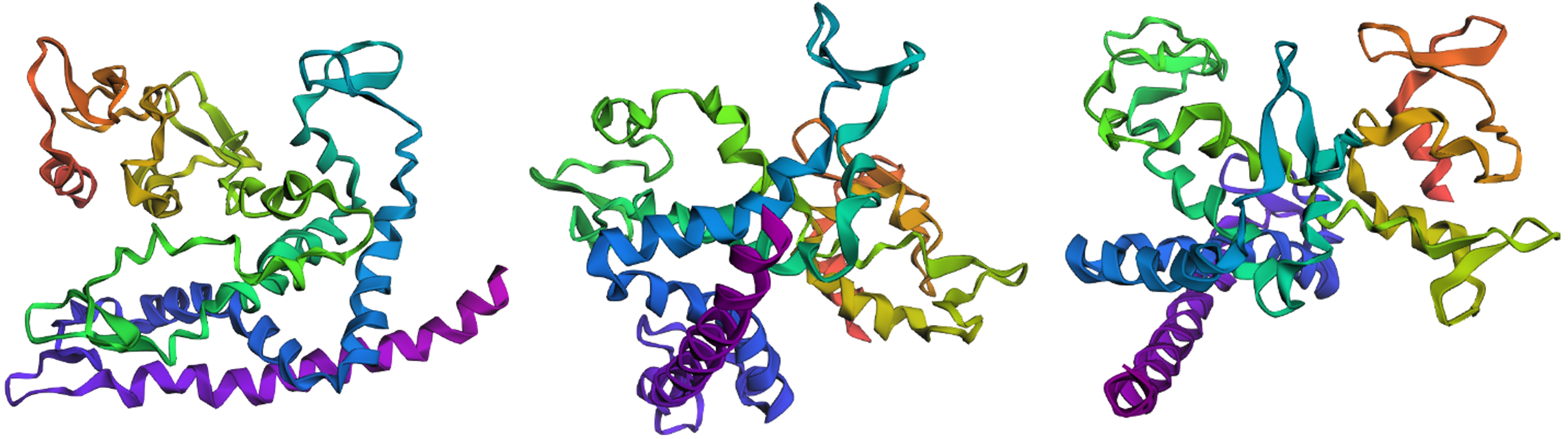 ESMFold structure for the amino acid sequence for reflectin as predicted by ProteinMPNN