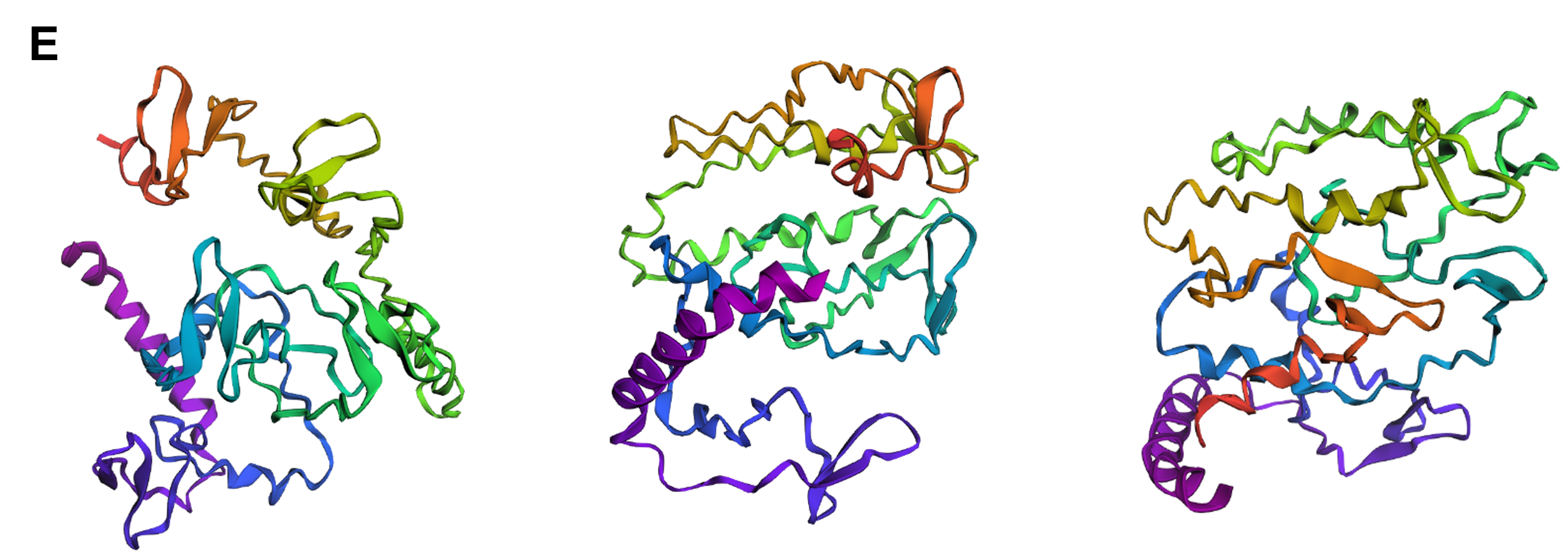ESMFold structure of &ldquo;optimized&rdquo; reflectin
