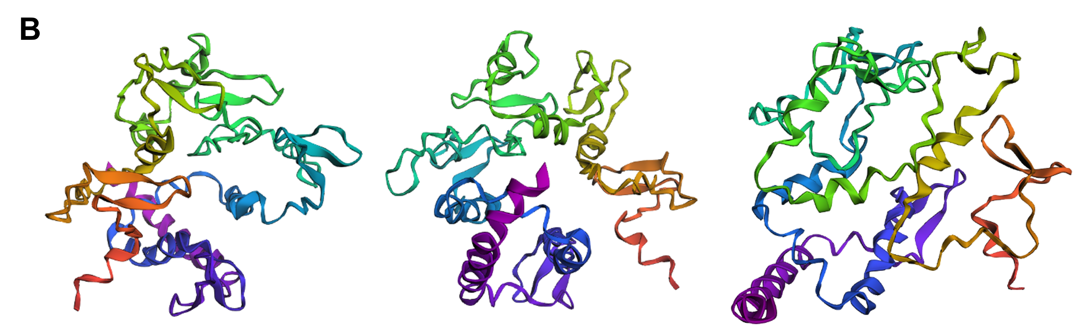 ESMFold structure of reflectin with point mutations inside &ldquo;critical&rdquo; regions