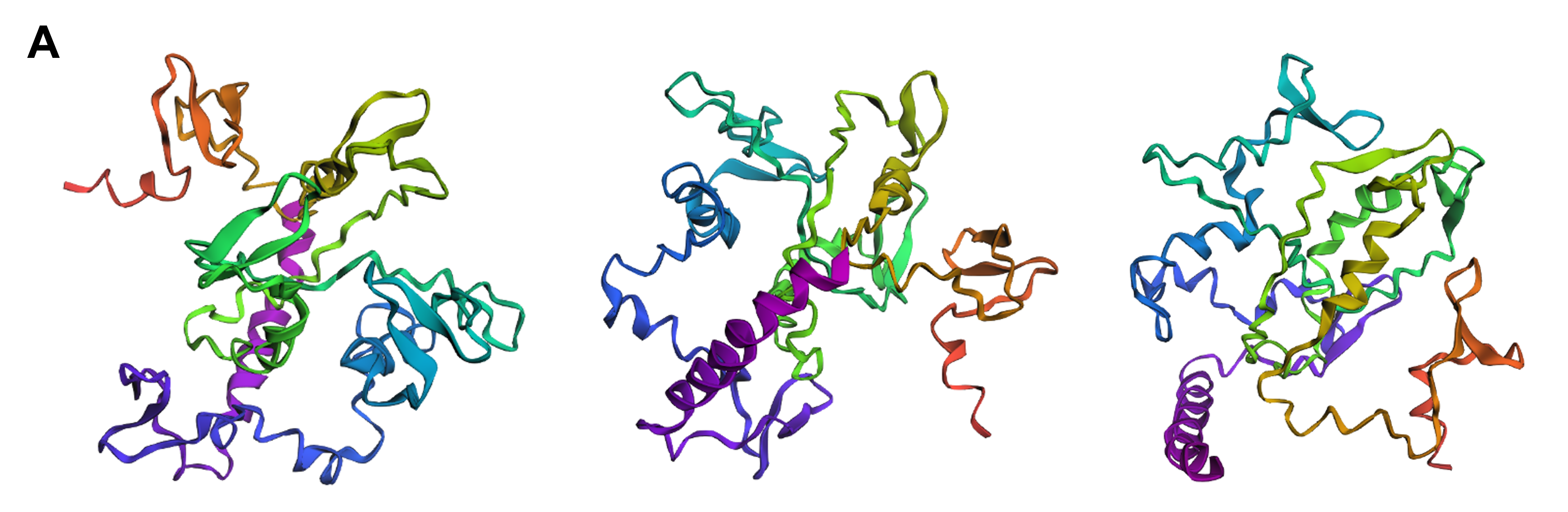 ESMFold structure of reflectin with point mutations outside of &ldquo;critical&rdquo; regions