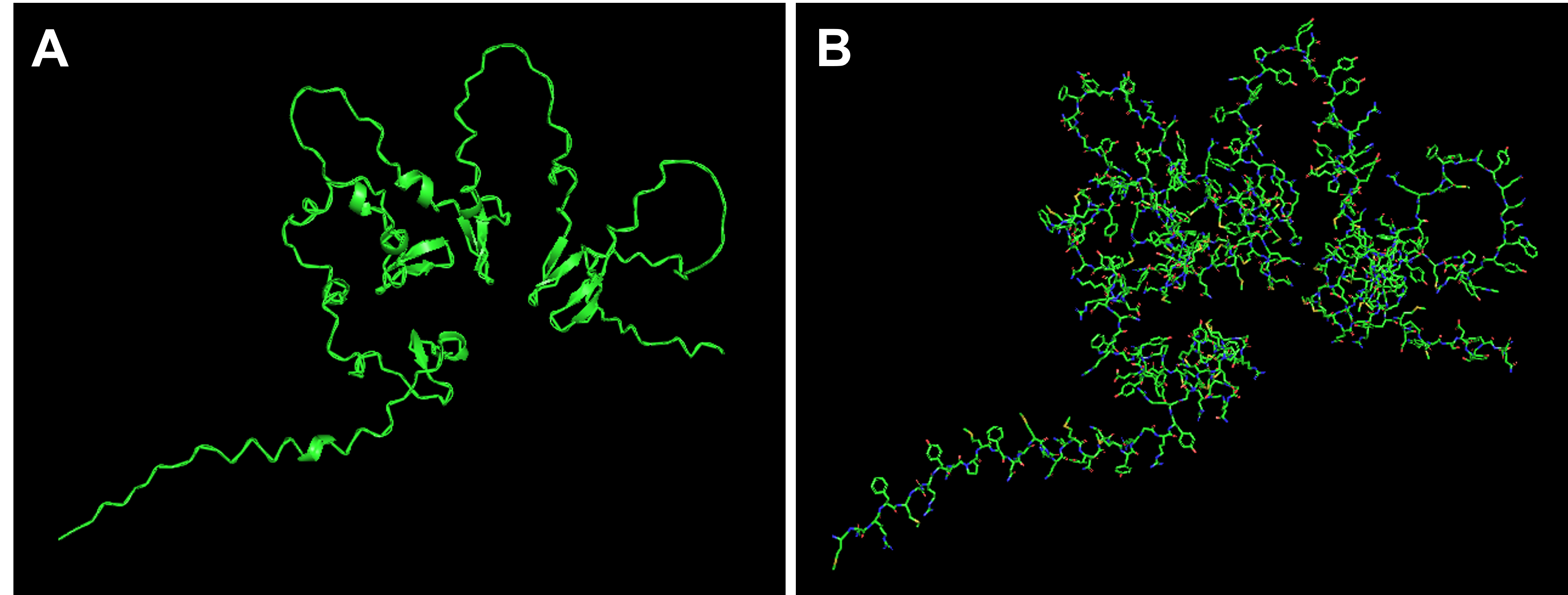 Reflectin&rsquo;s structure models from PyMOL