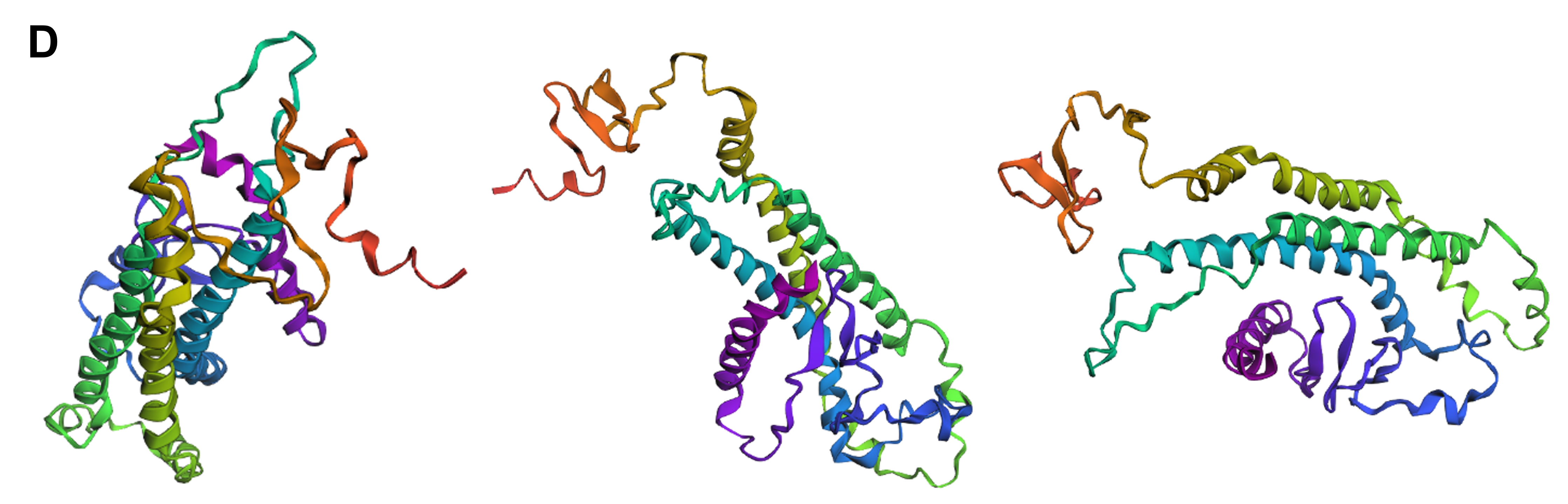 ESMFold structure of reflectin with whole segments changed to A inside &ldquo;critical&rdquo; regions
