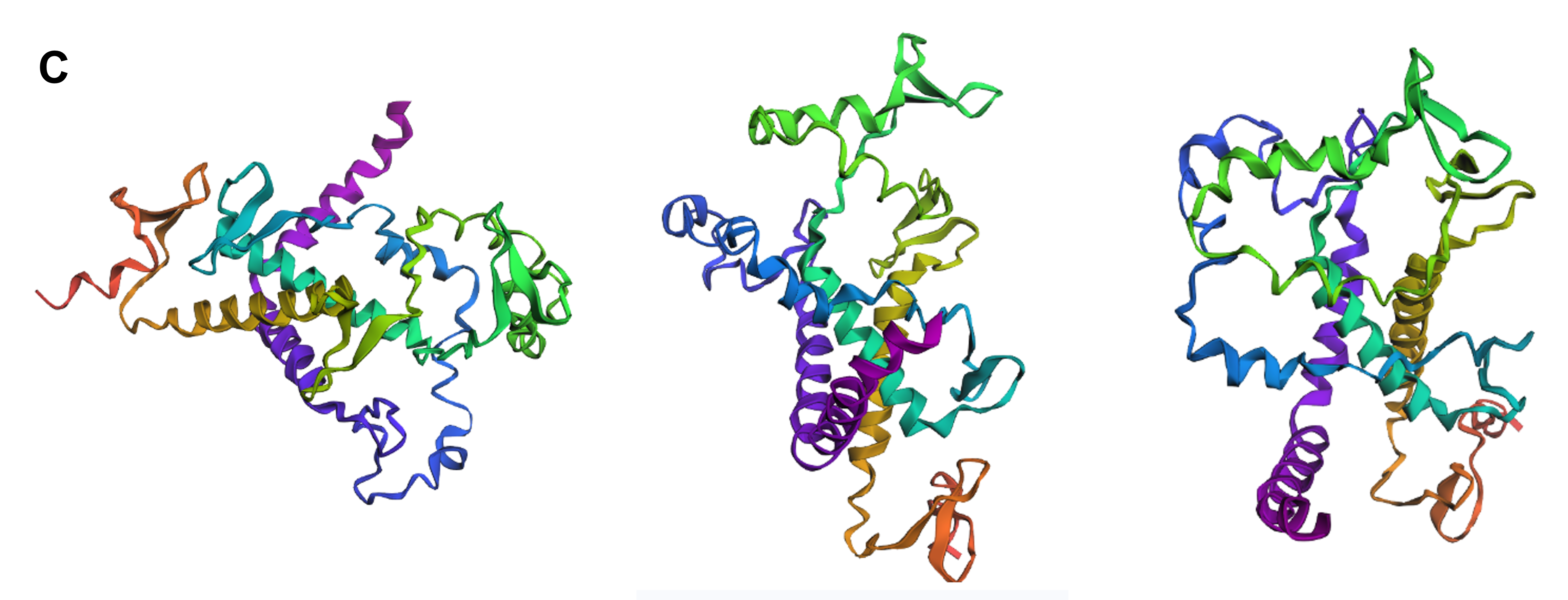 ESMFold structure of reflectin with whole segments changed to A outside of &ldquo;critical&rdquo; regions