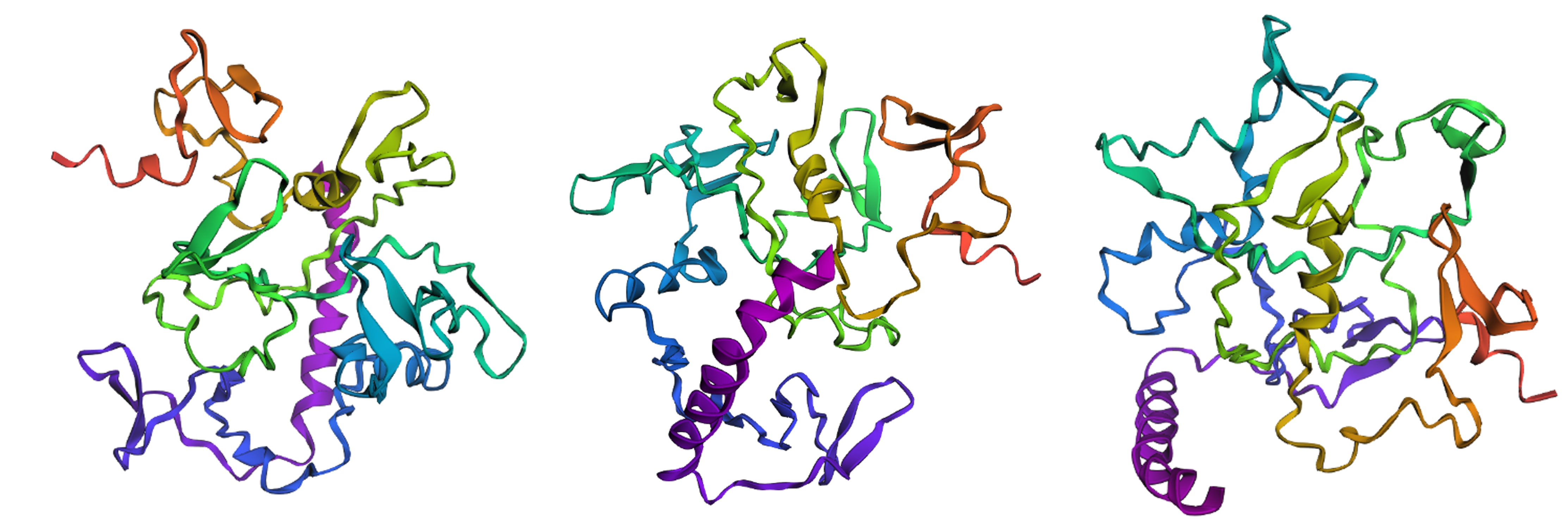 ESMFold structure of wild-type reflectin