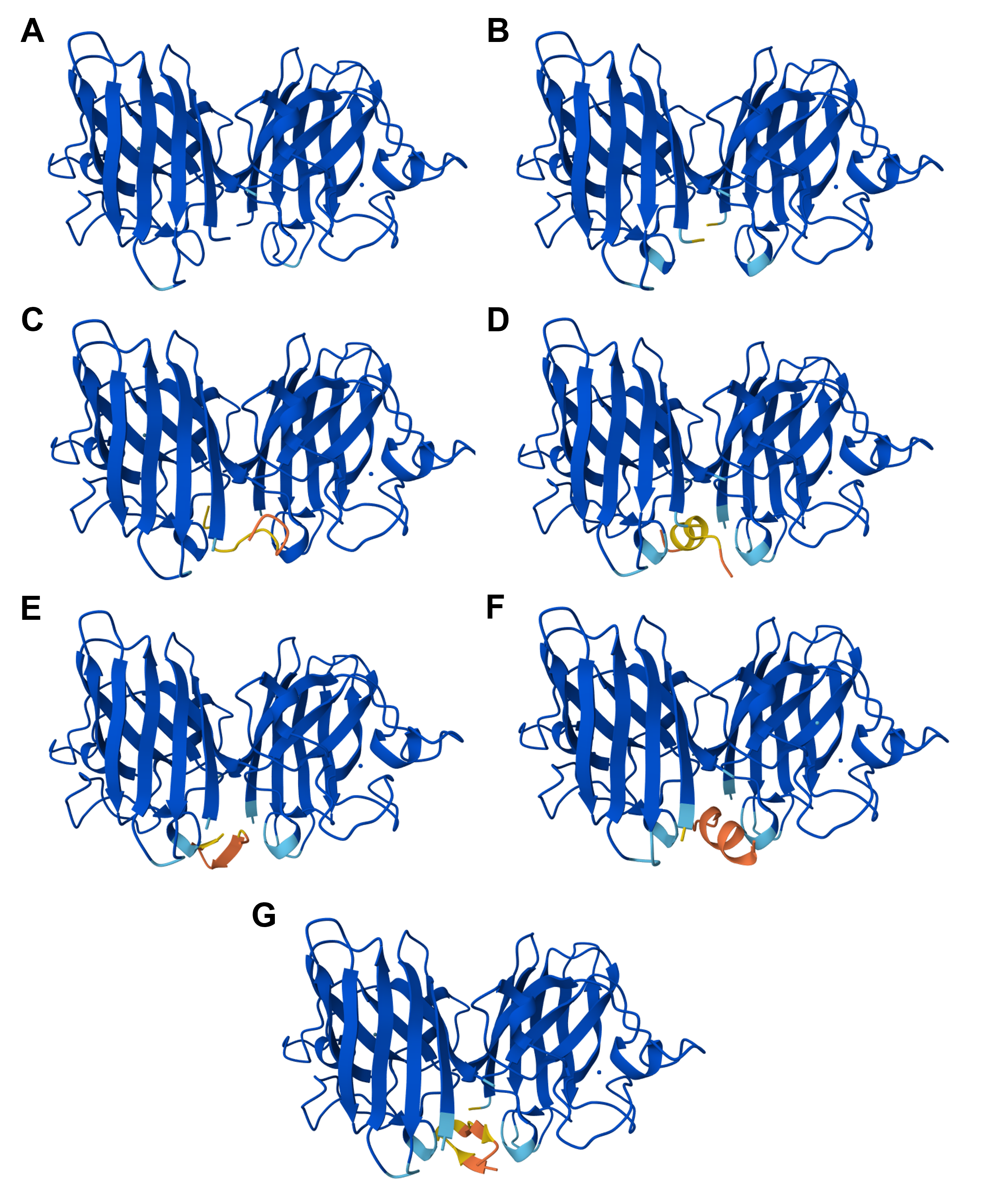 SOD1, all forms and peptides