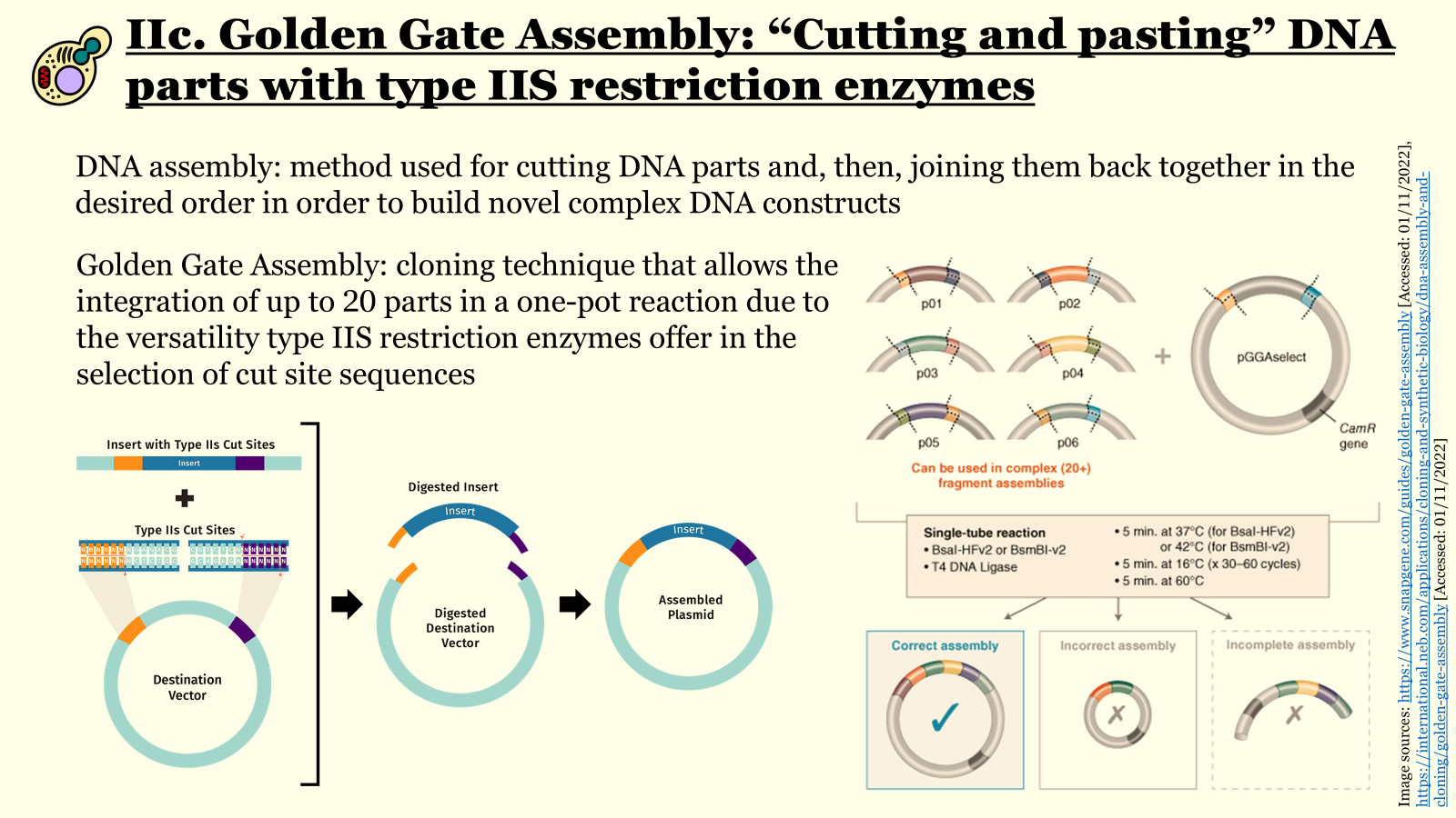 Golden Gate assembly