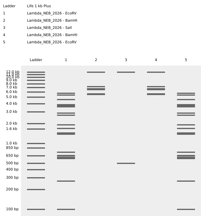  virtual_digest_sequence_Lambda_NEB_2026 