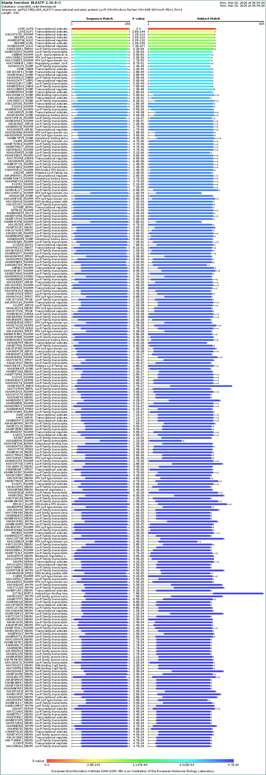  protein sequence homologs