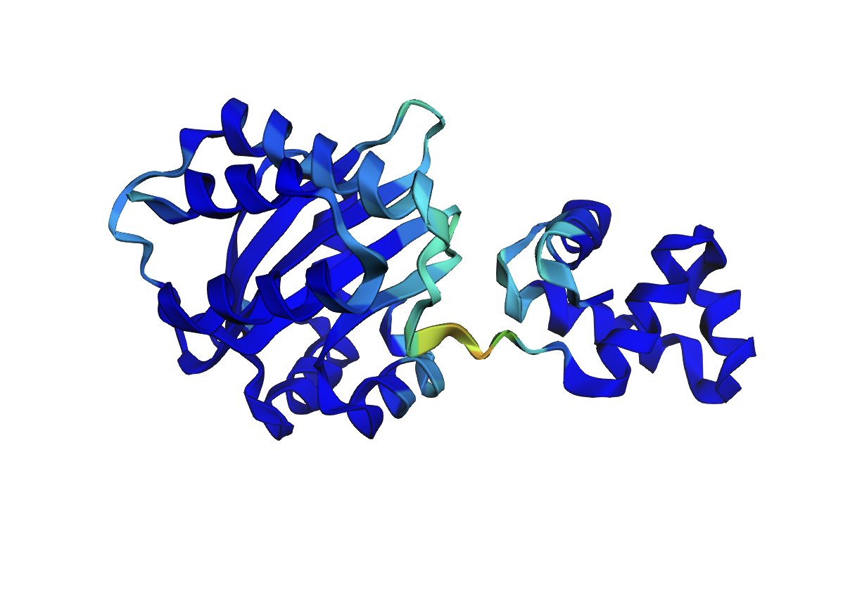 New protein structure