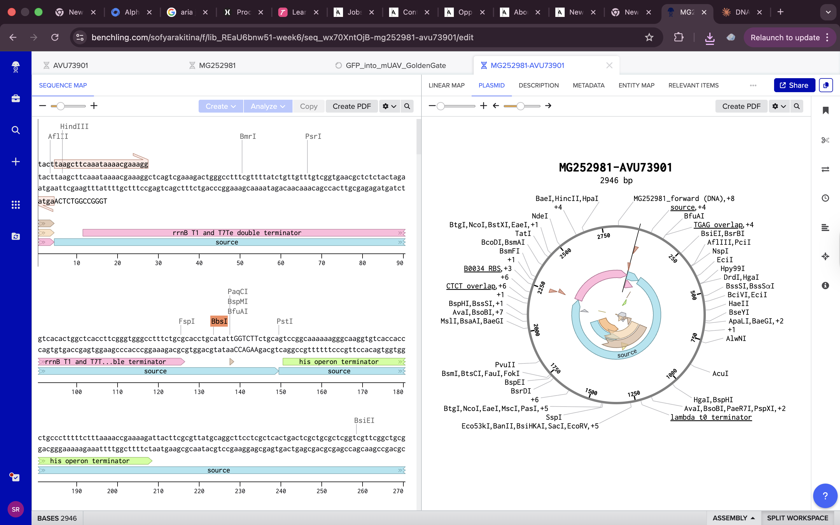 Golden Gate Assembly method