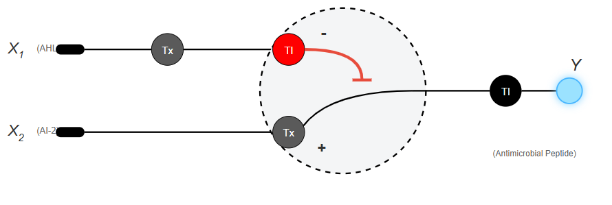 Accessibility text