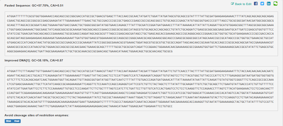 Codon Optimization for Yeast