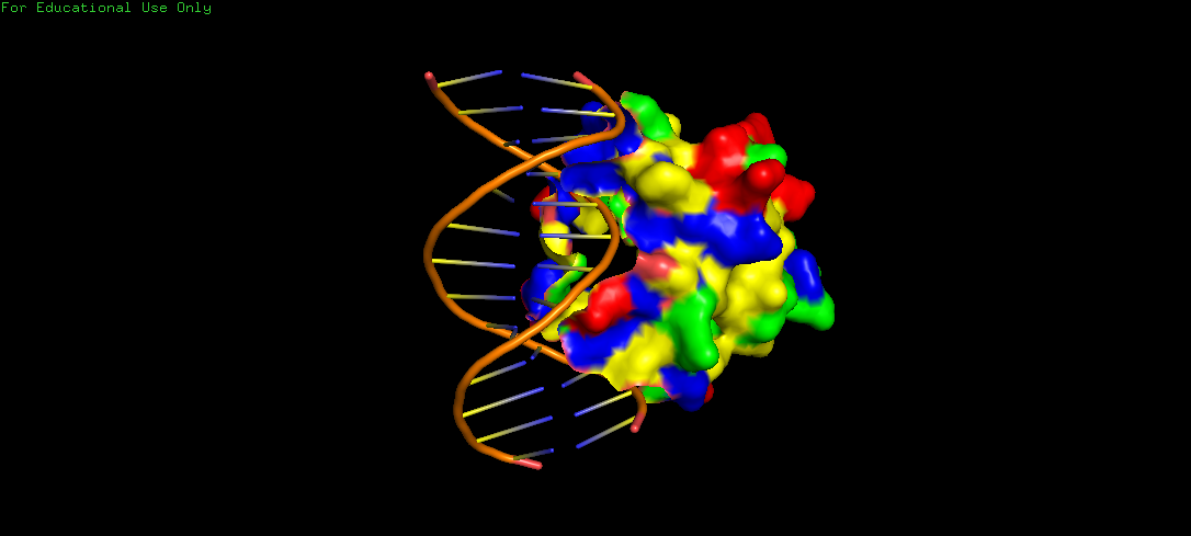 Binding Sites