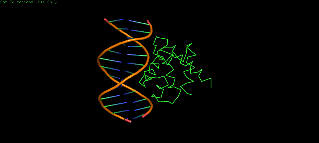 Ribbon