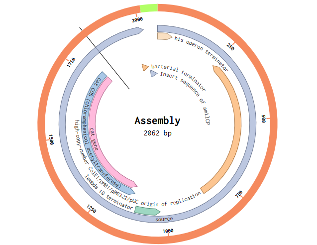 Obtained Final Assmebly Diagram