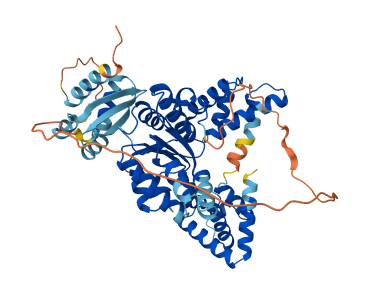 Image of the protein