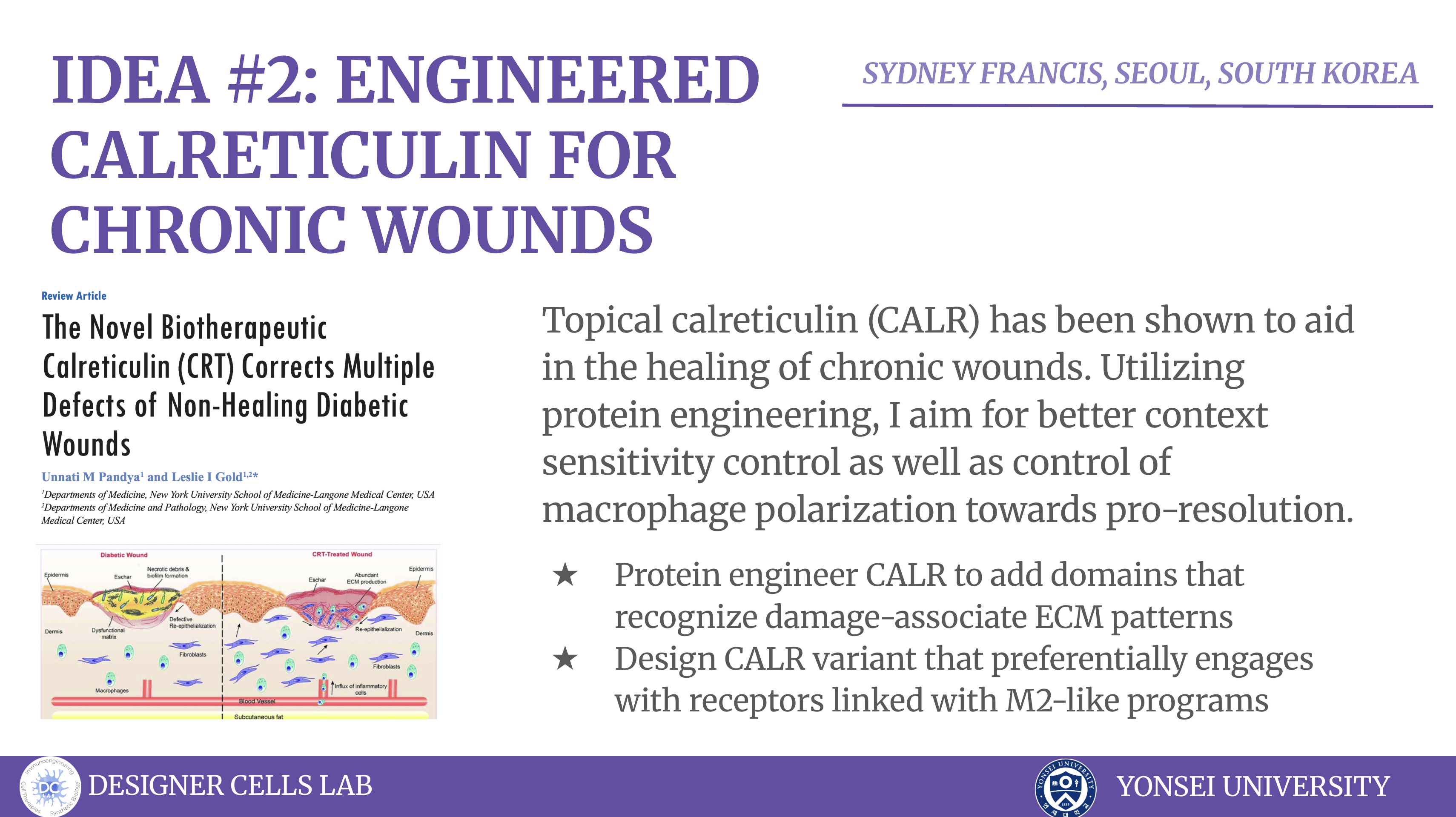 Final Project Idea #2