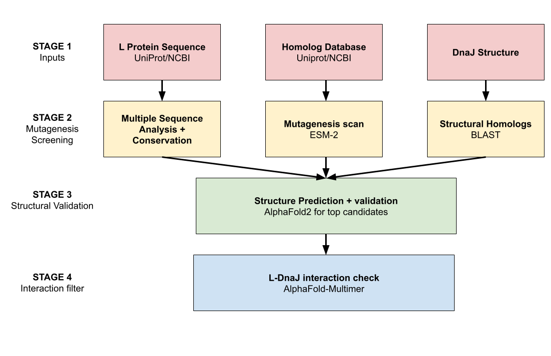 L Protein pipeline