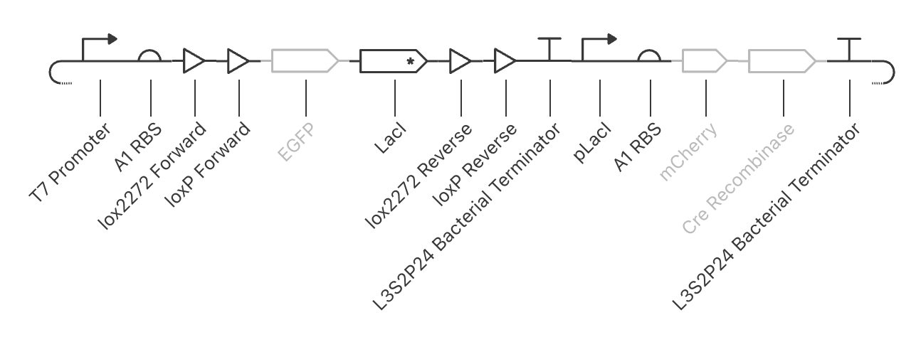 FLEx Switch