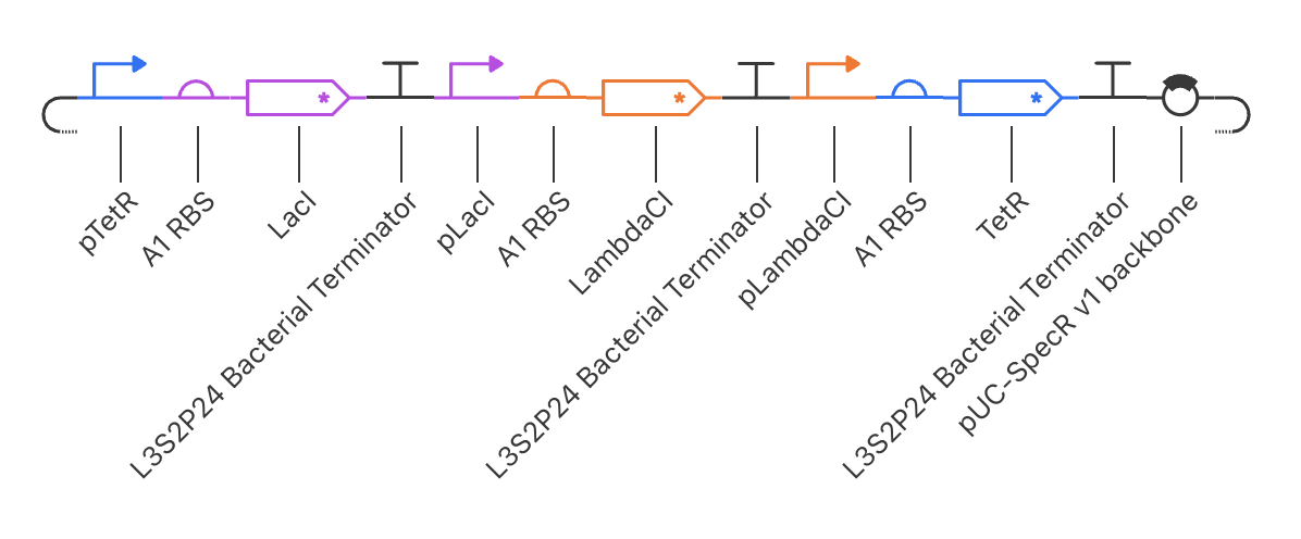 Repressilator
