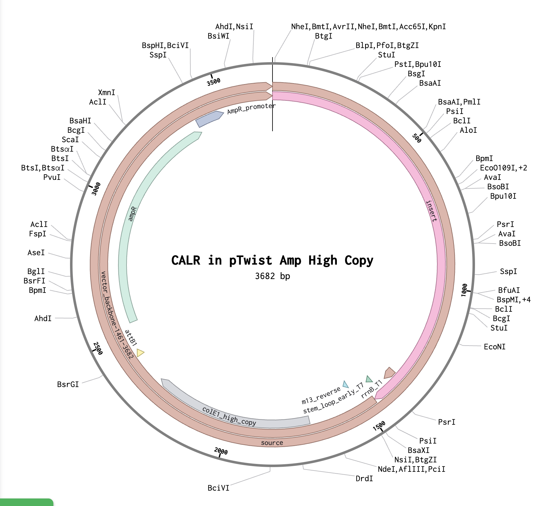 CALR plasmid from Twist order