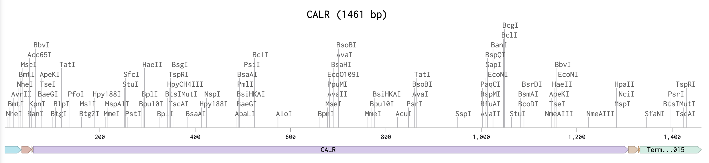 CALR exercise in Benchling